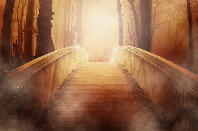 Pont foret imagination